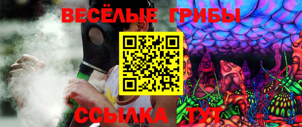Рузаевка  Галлюциногенные грибы GOLDEN TEACHER  дарнет шоп  Вход с VPN  Псилоцибиновые грибы GOLDEN TEACHER 